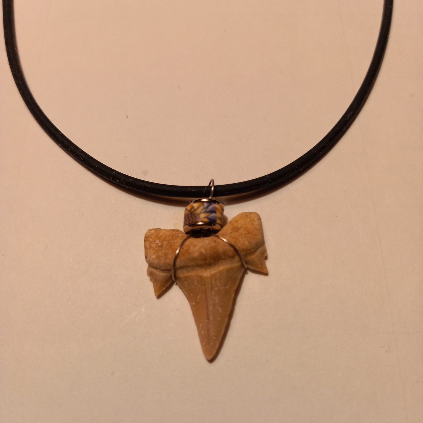 Äkta hajtandsfossilhalsband – Otodus obliquus (60–100 miljoner år, Marocko)