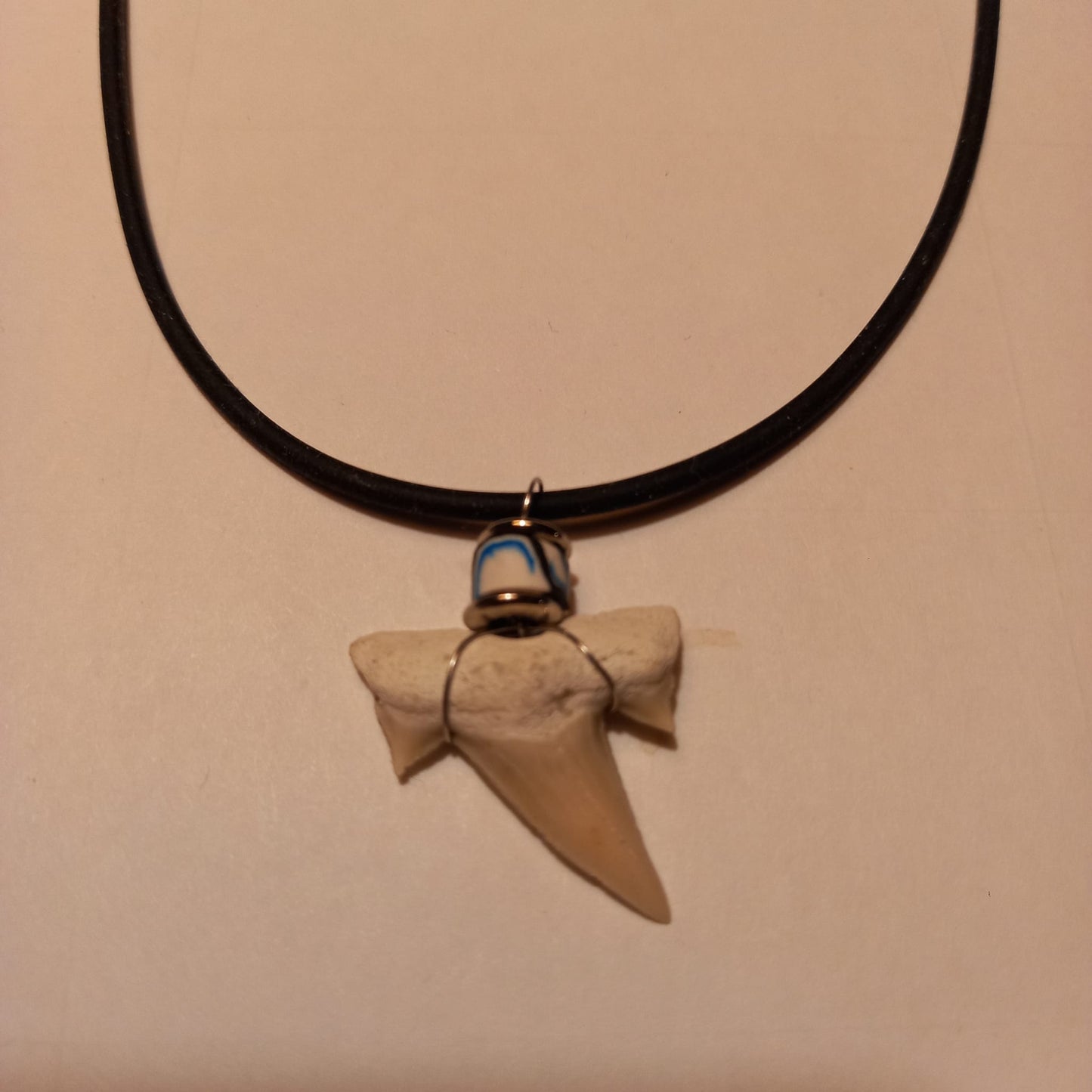 Äkta hajtandsfossilhalsband – Otodus obliquus (60–100 miljoner år, Marocko)