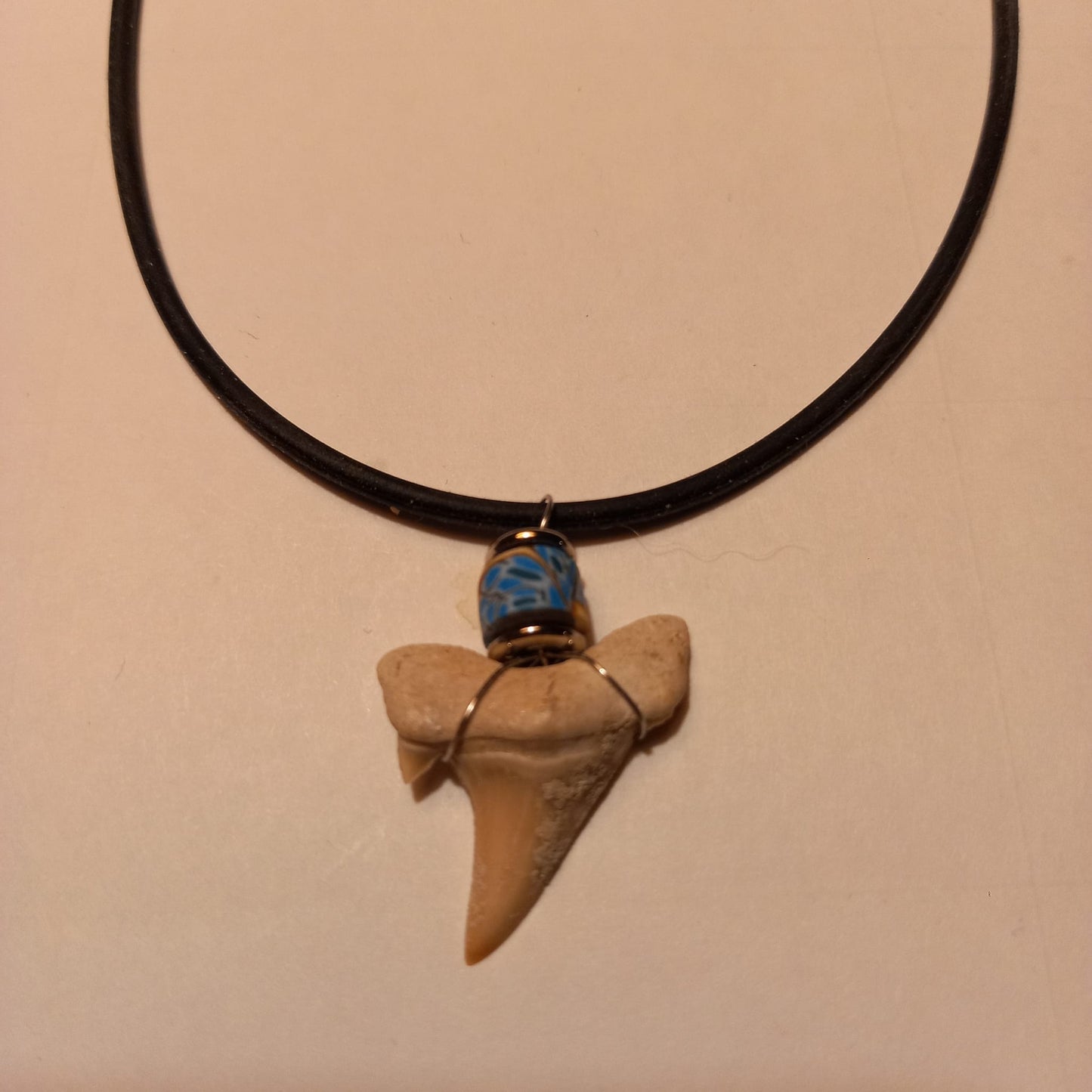 Äkta hajtandsfossilhalsband – Otodus obliquus (60–100 miljoner år, Marocko)