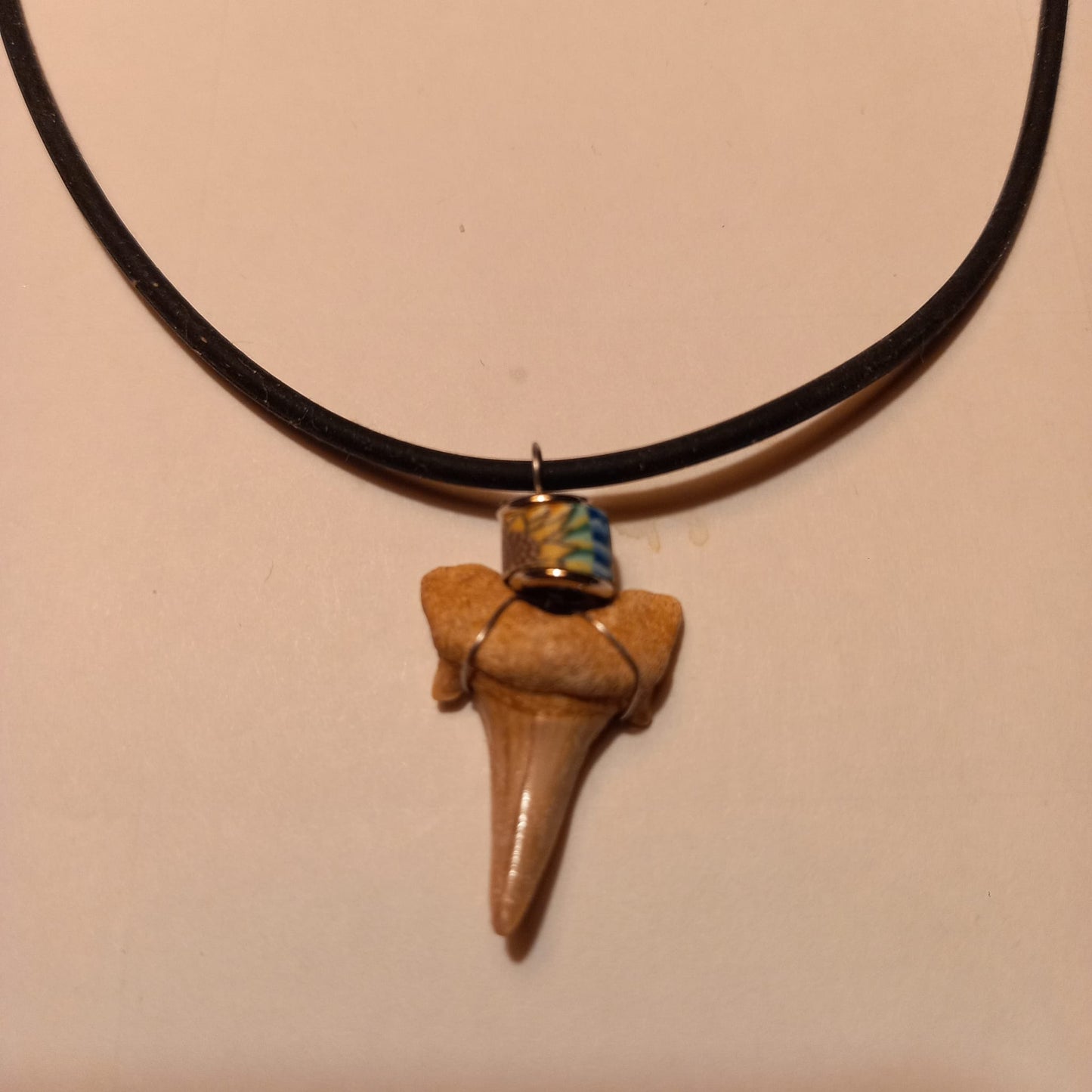 Äkta hajtandsfossilhalsband – Otodus obliquus (60–100 miljoner år, Marocko)