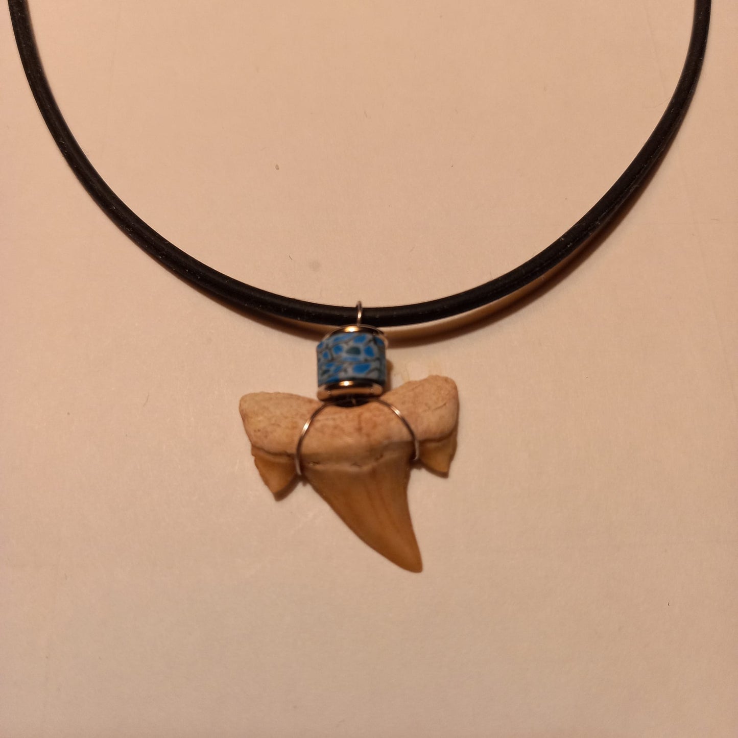 Äkta hajtandsfossilhalsband – Otodus obliquus (60–100 miljoner år, Marocko)