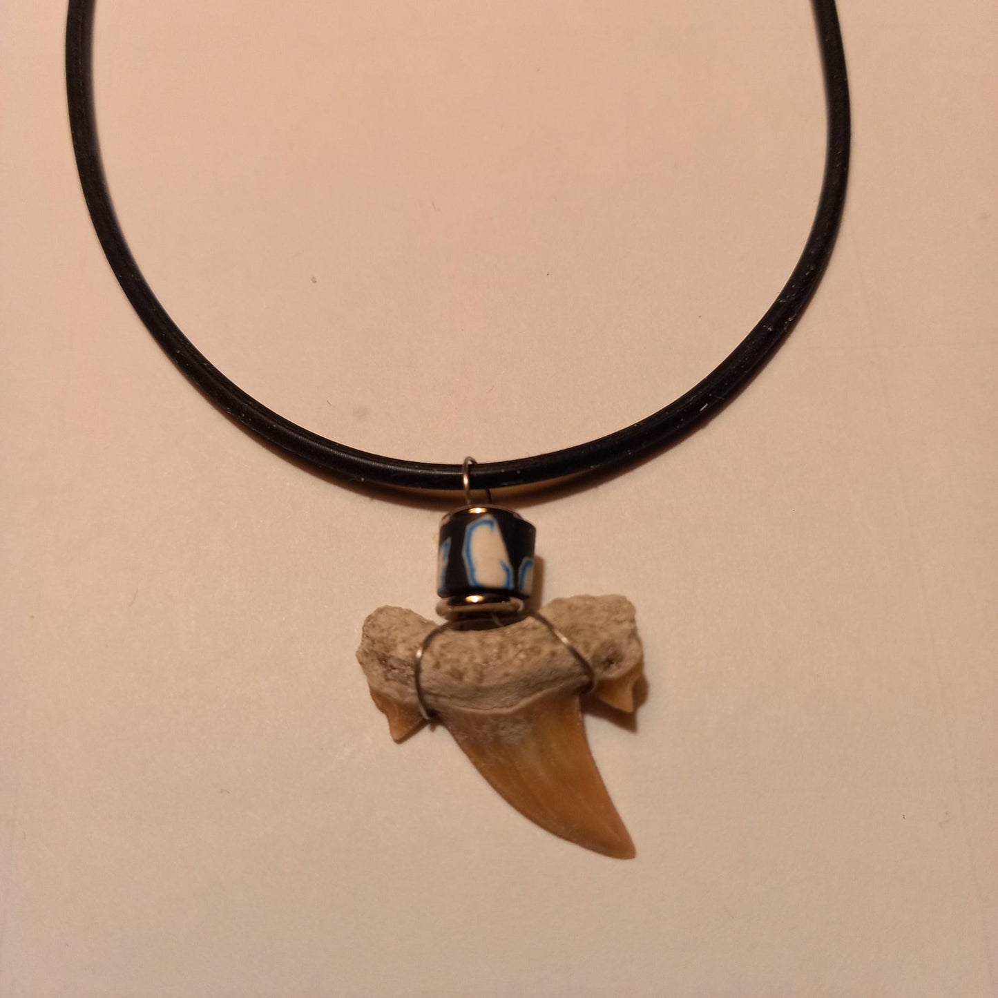 Äkta hajtandsfossilhalsband – Otodus obliquus (60–100 miljoner år, Marocko)